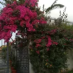 Delle Rose 4*