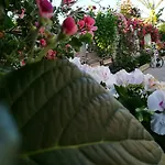 فندق مبيت وإفطار Delle Rose 4*