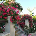 Bed & Breakfast Delle Rose 4*