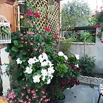 Delle Rose