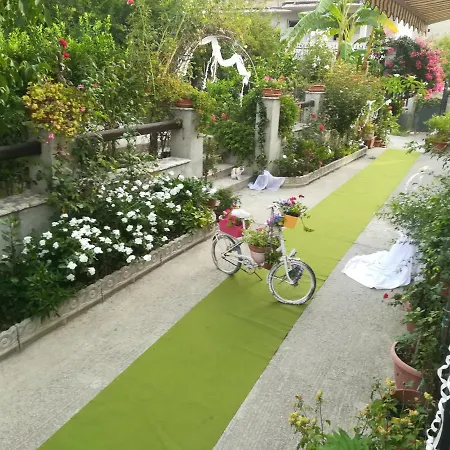 Delle Rose 3* Bova Marina