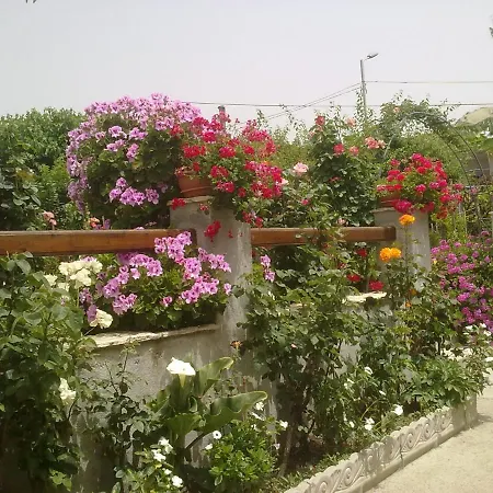 Delle Rose 4* Bova Marina