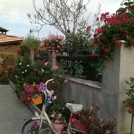 فندق مبيت وإفطار Delle Rose 3*