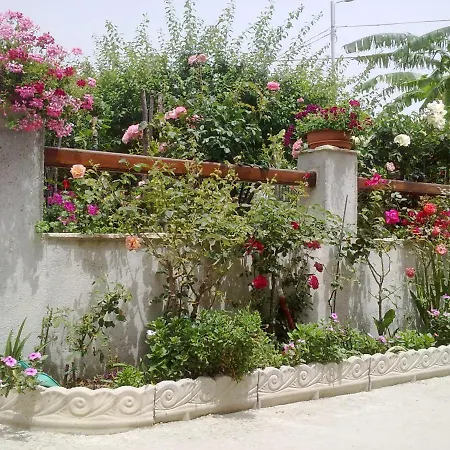 Delle Rose