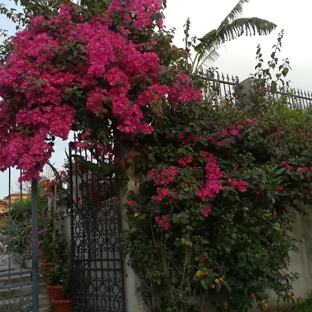 Delle Rose 4*