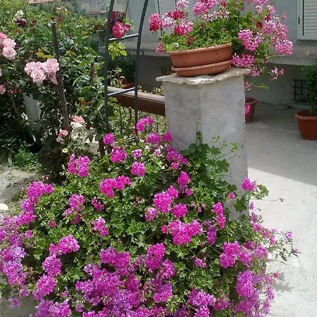 Delle Rose Frühstückspension