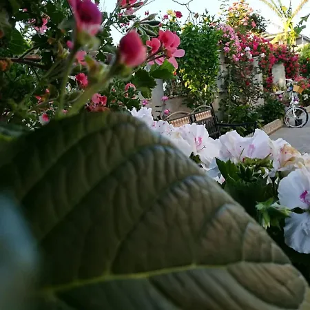 Bed and Breakfast Delle Rose 4*