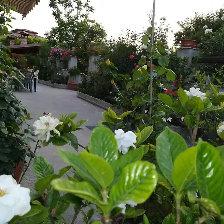 Delle Rose 4*