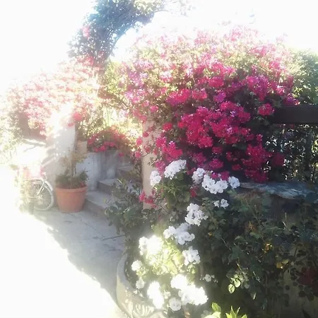 Delle Rose Bed & Breakfast 4*