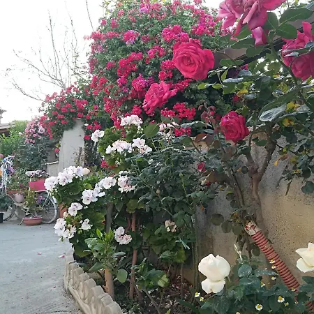 Delle Rose *