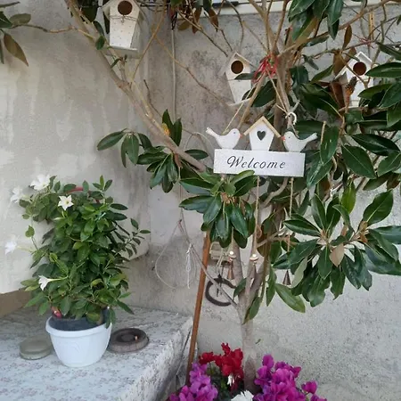 Frühstückspension Delle Rose Bova Marina