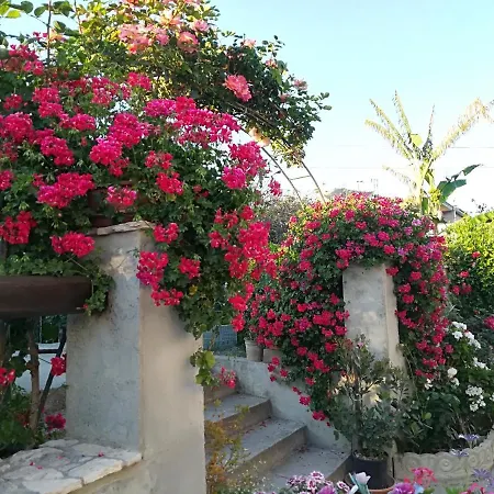 Bed and Breakfast Delle Rose 4*