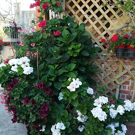 Frühstückspension Delle Rose Bova Marina