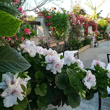 Delle Rose 4* Bova Marina