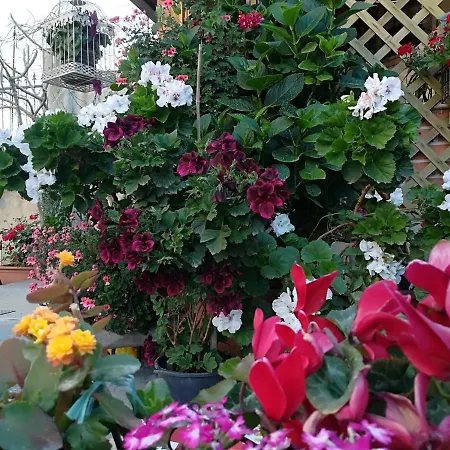 Frühstückspension Delle Rose 3*