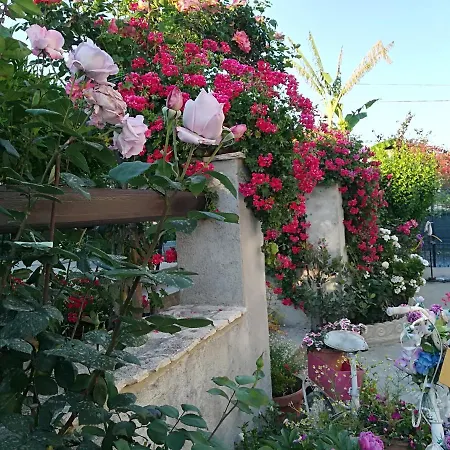 Delle Rose 3* Bova Marina