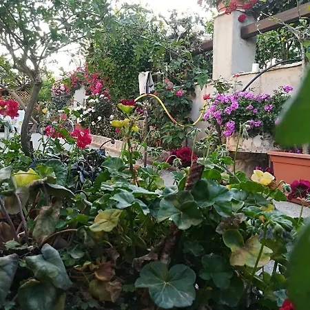 Bed and breakfast Delle Rose 4*