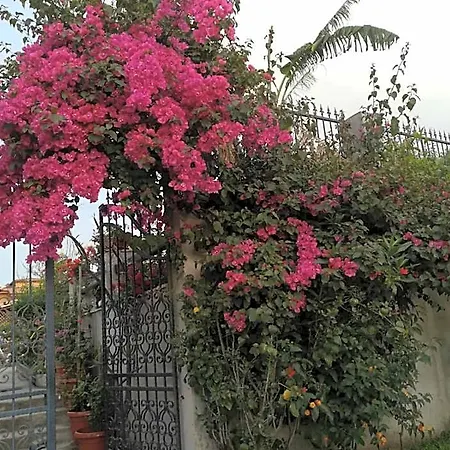 Bed & Breakfast Delle Rose 4*