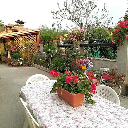 Delle Rose 4*