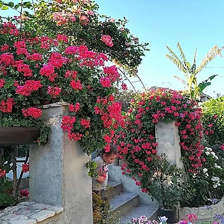 Bed & Breakfast Delle Rose 4*