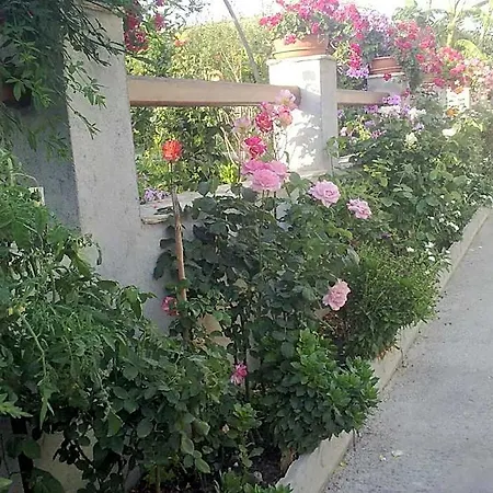 Delle Rose 4*