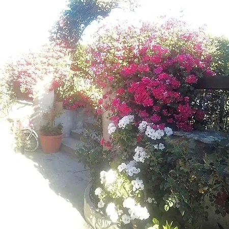 Frühstückspension Delle Rose