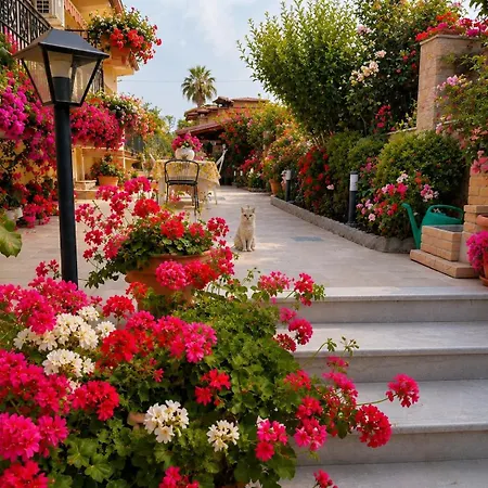 Delle Rose Bova Marina
