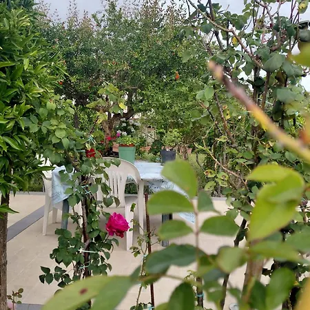 Delle Rose Frühstückspension
