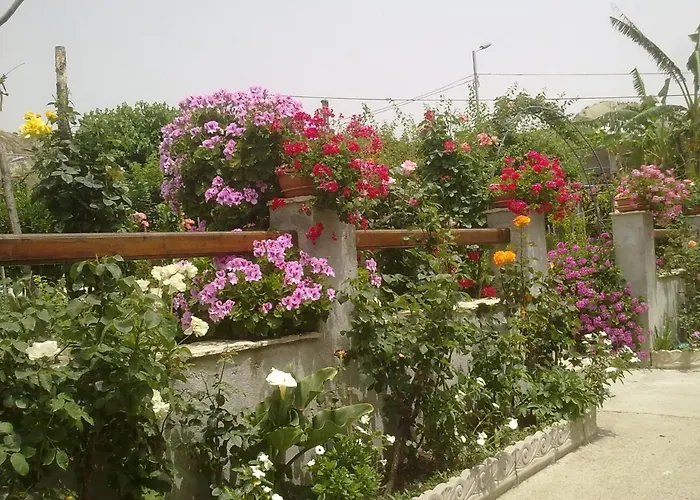 Delle Rose 4* Bova Marina