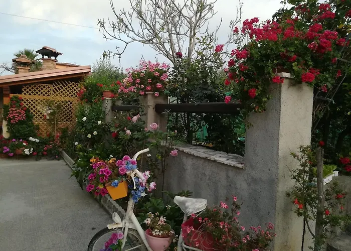 Alojamento de Acomodação e Pequeno-almoço Delle Rose 4*