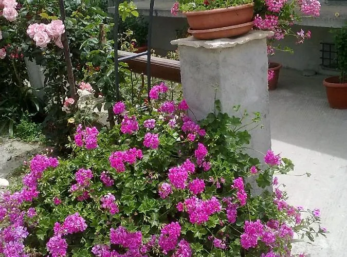 Delle Rose Alojamento de Acomodação e Pequeno-almoço