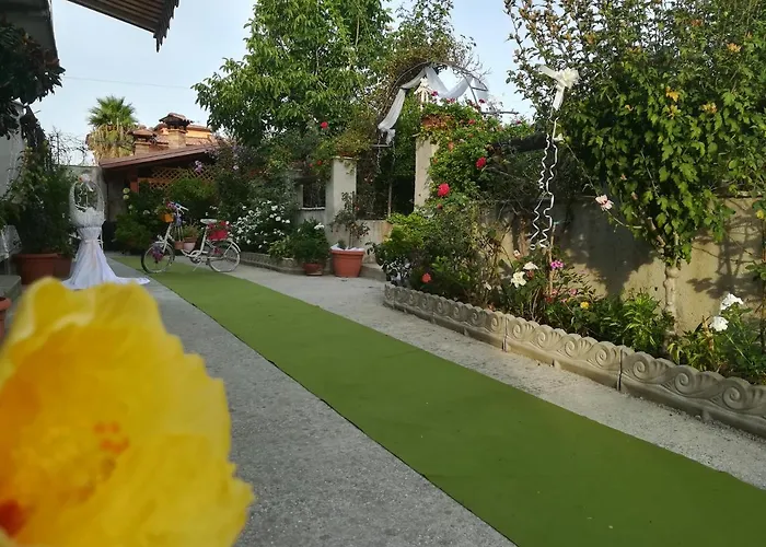 Alojamento de Acomodação e Pequeno-almoço Delle Rose 4*