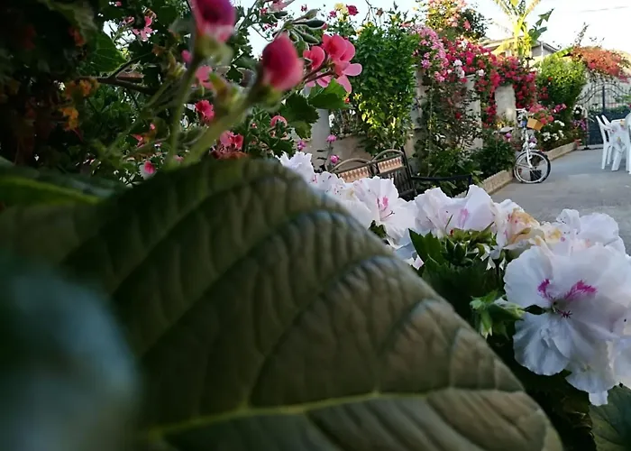 Alojamento de Acomodação e Pequeno-almoço Delle Rose 4*