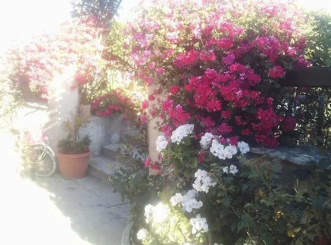 Delle Rose Alojamento de Acomodação e Pequeno-almoço 3*