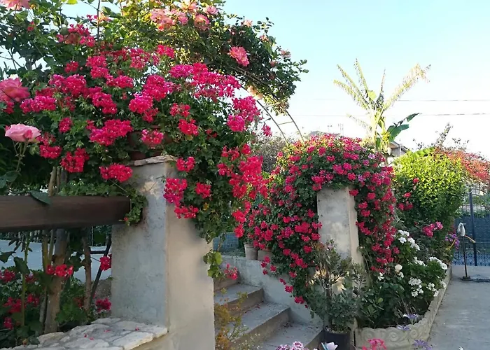 Alojamento de Acomodação e Pequeno-almoço Delle Rose 3*