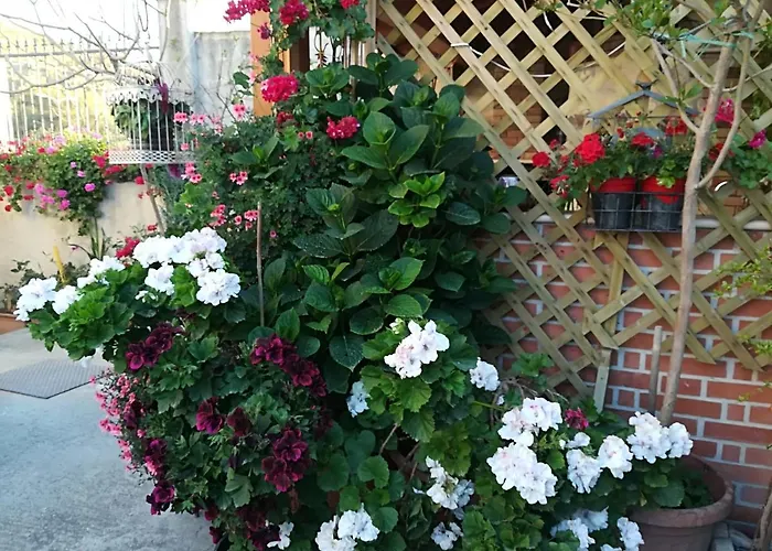 Alojamento de Acomodação e Pequeno-almoço Delle Rose Bova Marina