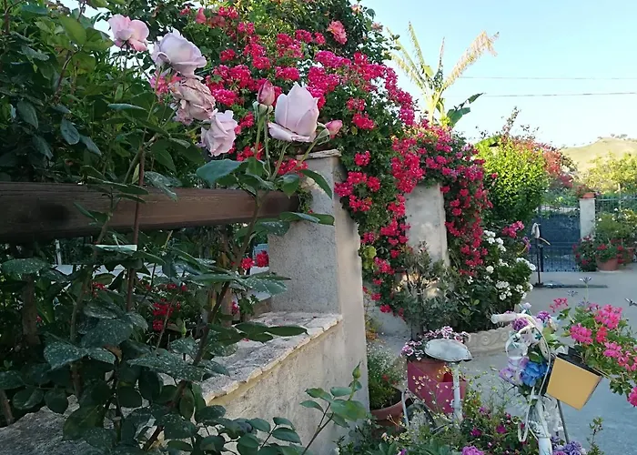 Delle Rose 3* Bova Marina